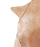 Goatskin #A27766