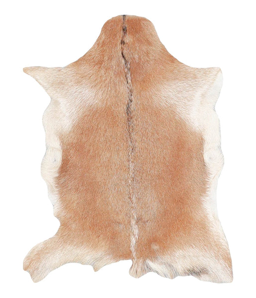 Goatskin #A27769