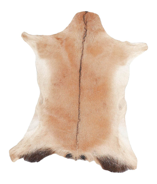 Goatskin #A27770