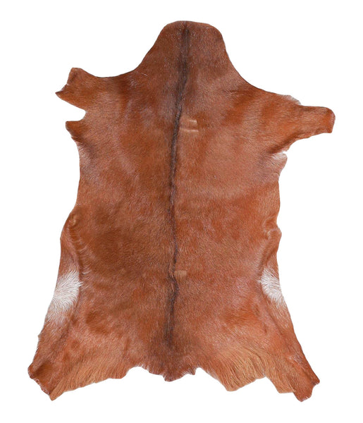 Goatskin #A27771