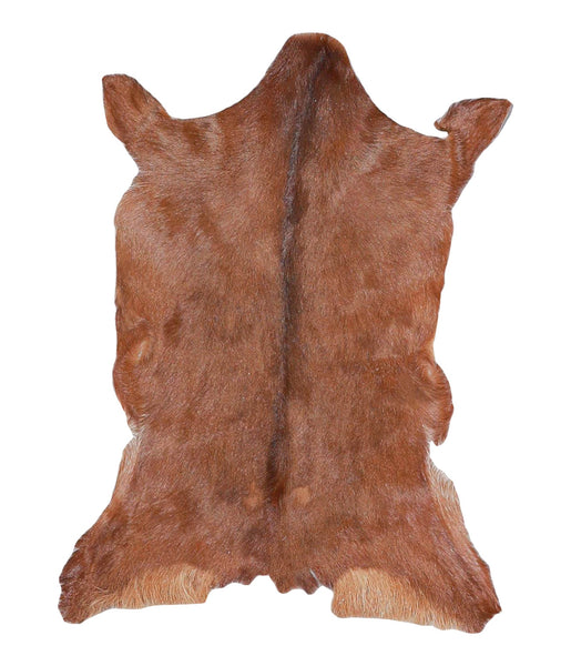 Goatskin #A27788