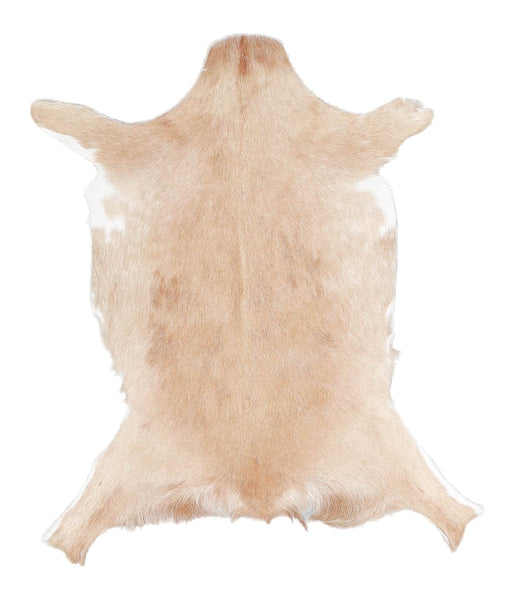 Goatskin #A27806