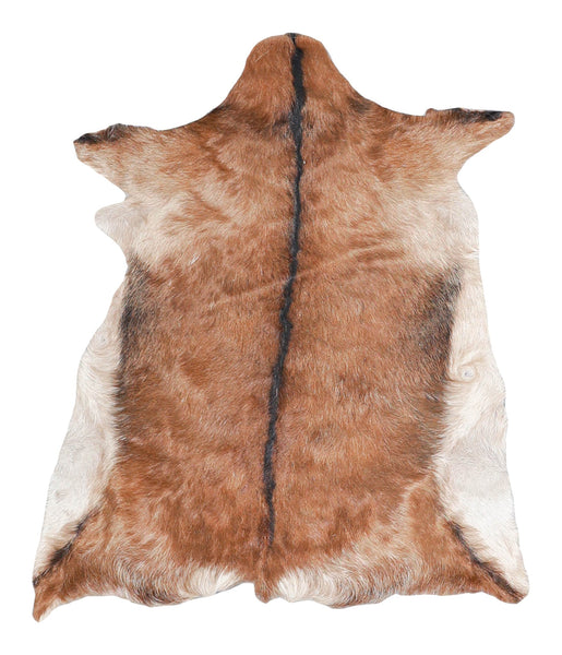 Goatskin #A27812