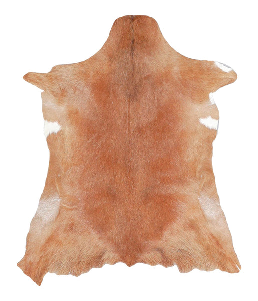 Goatskin #A27816