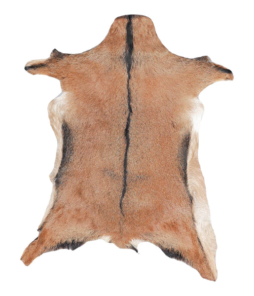 Goatskin #A27831