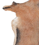 Goatskin #A27831
