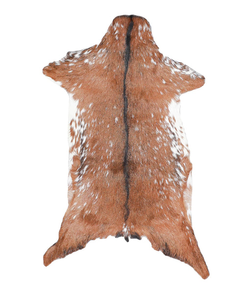 Goatskin #A27842