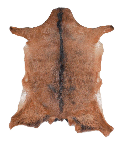 Goatskin #A27850