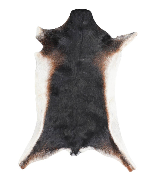 Goatskin #A27870