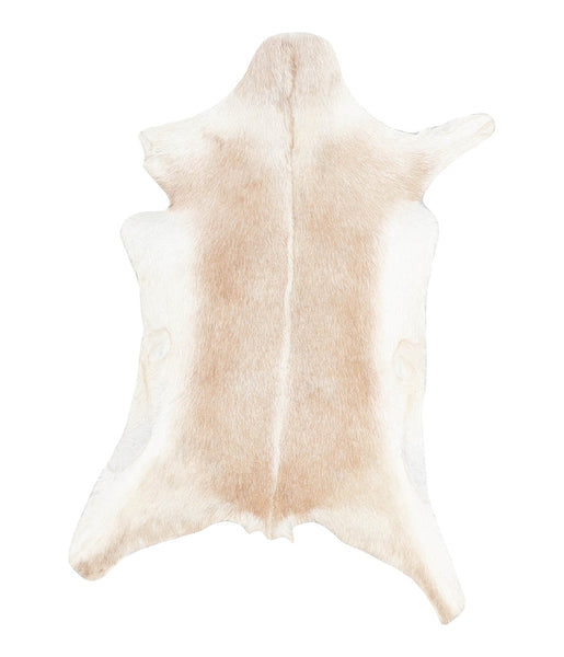 Goatskin #A27871