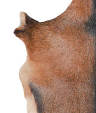 Goatskin #A27874
