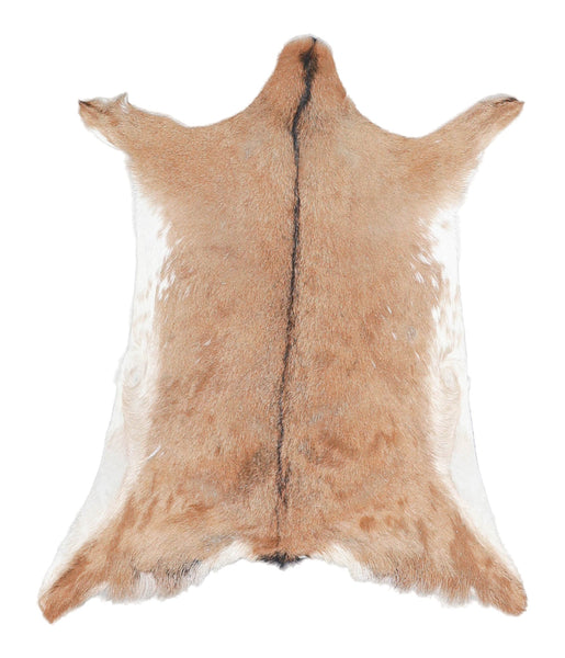 Goatskin #A27881