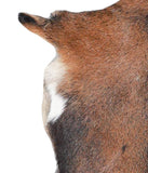 Goatskin #A27885