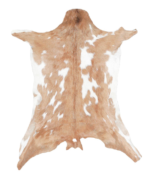 Goatskin #A27906