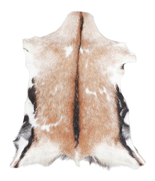 Goatskin #A27918