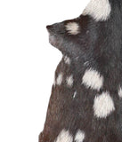 Goatskin #A27931