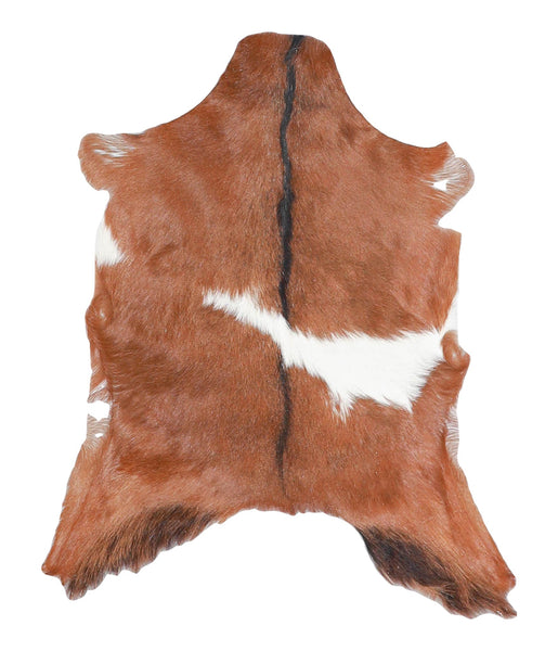 Goatskin #A27939