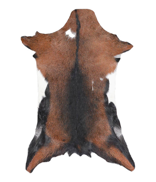 Goatskin #A27943
