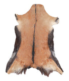 Goatskin #A27946