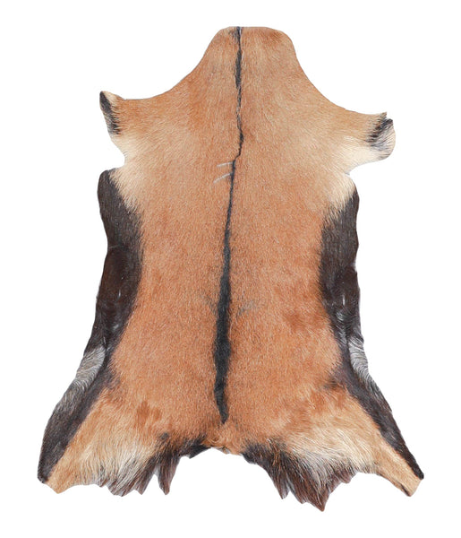 Goatskin #A27946