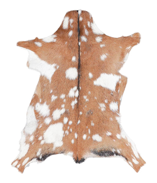 Goatskin #A27962