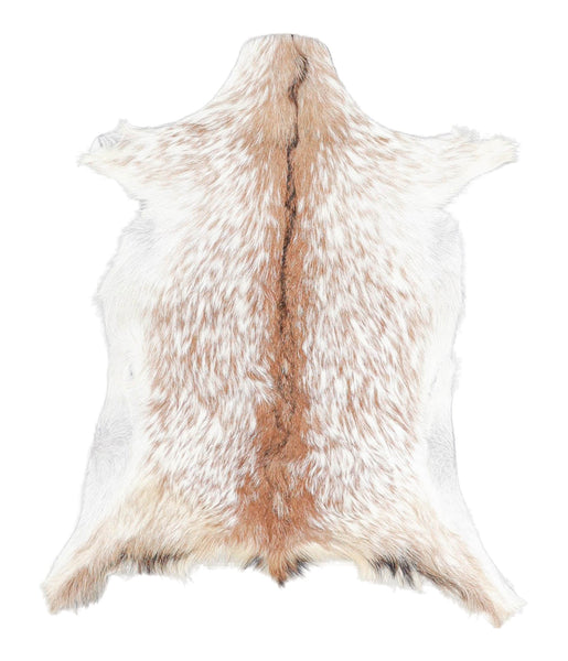 Goatskin #A27974