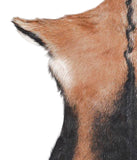 Goatskin #A28032