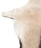 Goatskin #A28094
