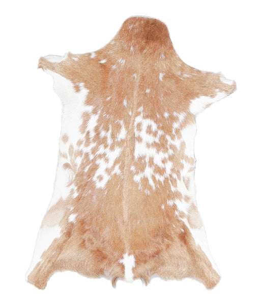 Goatskin #A28118