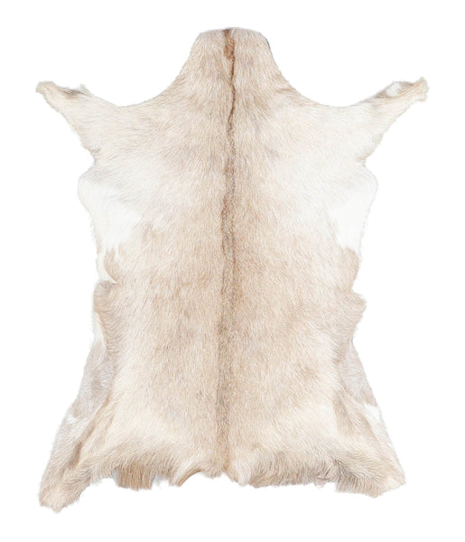 Goatskin #A28184
