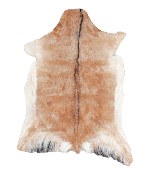Goatskin #A28185