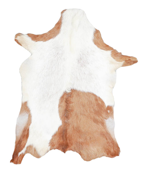 Goatskin #A28253