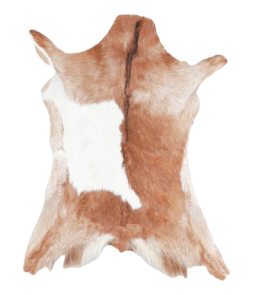 Goatskin #A28261