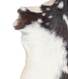 Goatskin #A28266