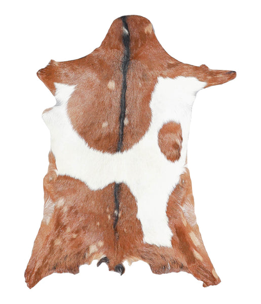 Goatskin #A28276