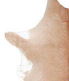 Calfhide #A28379