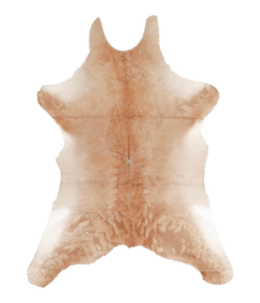 Calfhide #A28392