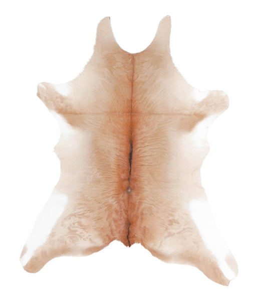 Calfhide #A28420