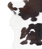 Calfhide #A28504