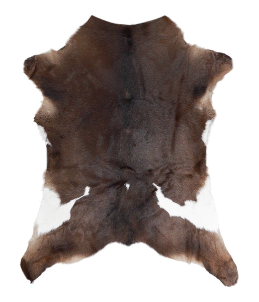 Calfhide #A28565