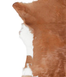 Calfhide #A28579
