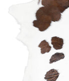 Calfhide #A28636
