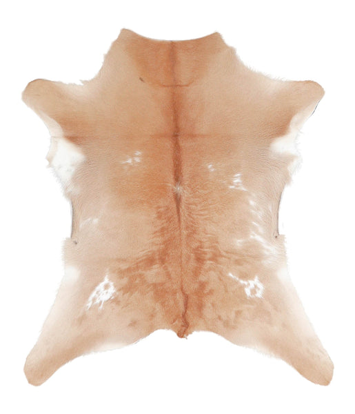 Calfhide #A28676