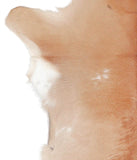 Calfhide #A28676