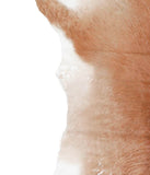 Calfhide #A28729