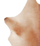 Calfhide #A28749