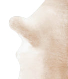 Calfhide #A28755