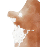 Calfhide #A28757