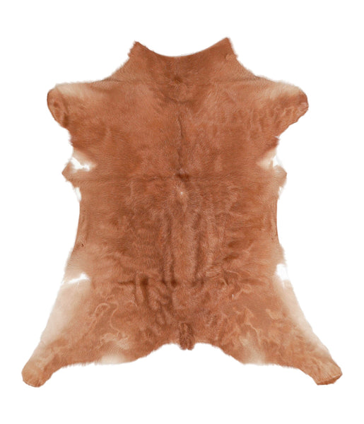 Calfhide #A28770