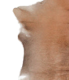 Calfhide #A28806